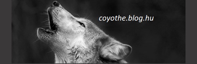 coyote_alul.jpg