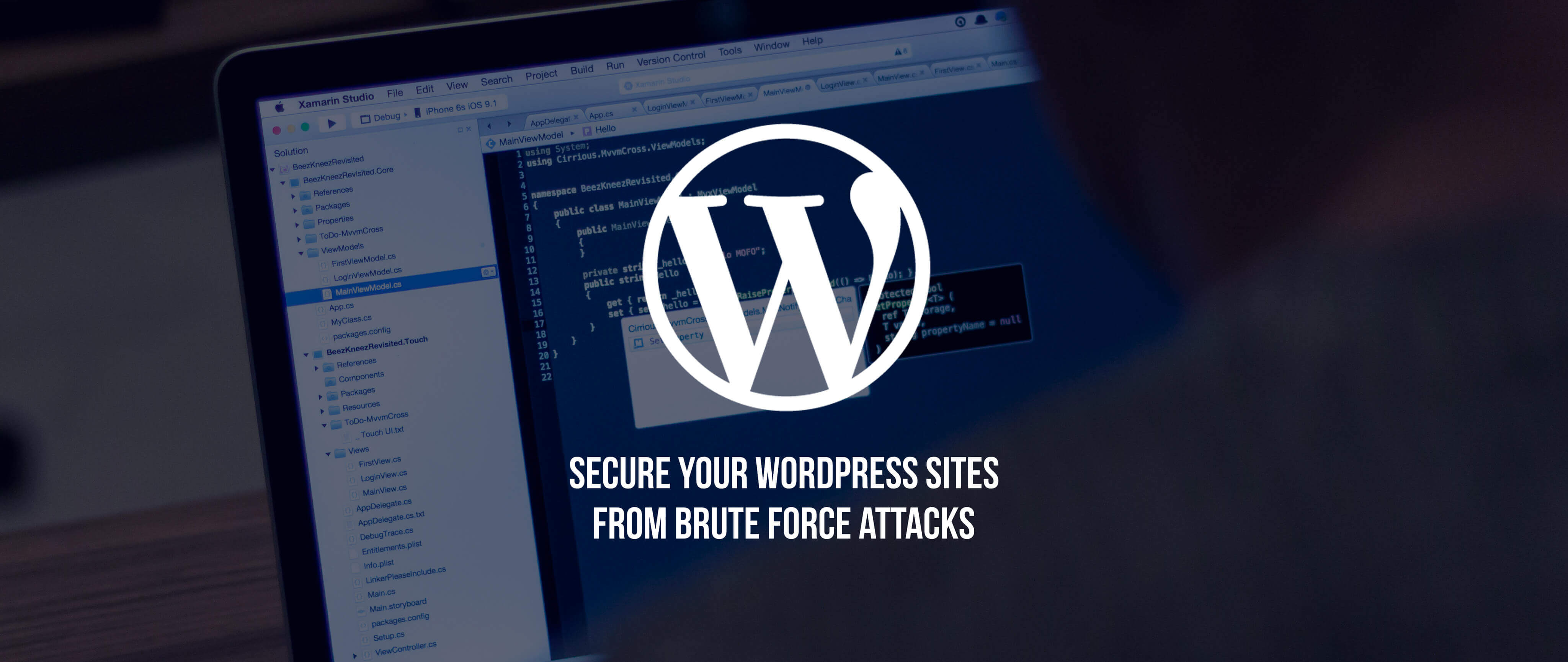 how-to-secure-wordpress-sites-from-brute-force-attacks.jpg