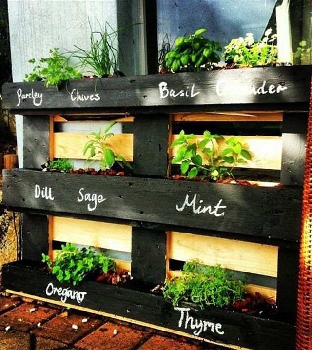 vertical_herb_garden.jpg