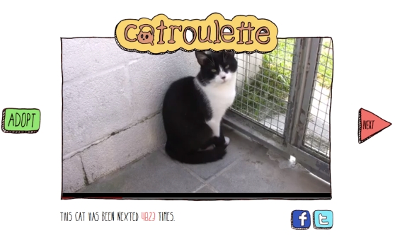 catroulette2.jpg