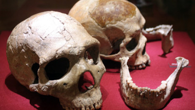 Coursera: Human Evolution - Past and Future