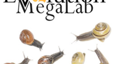 Evolution Megalab