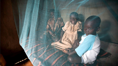 Mesterséges és természetes védelem a malária ellen