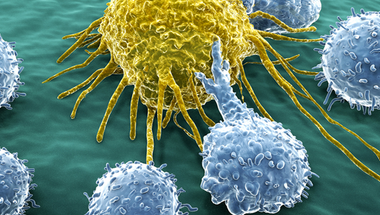 Féktelen immunrendszerrel a rák ellen