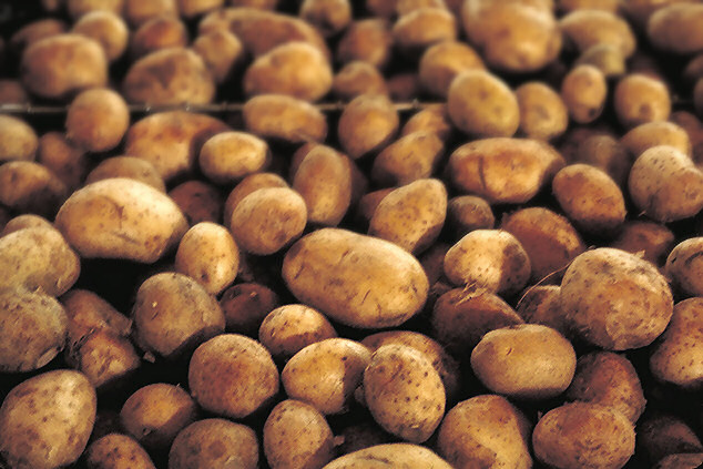 800px-Patates.jpg