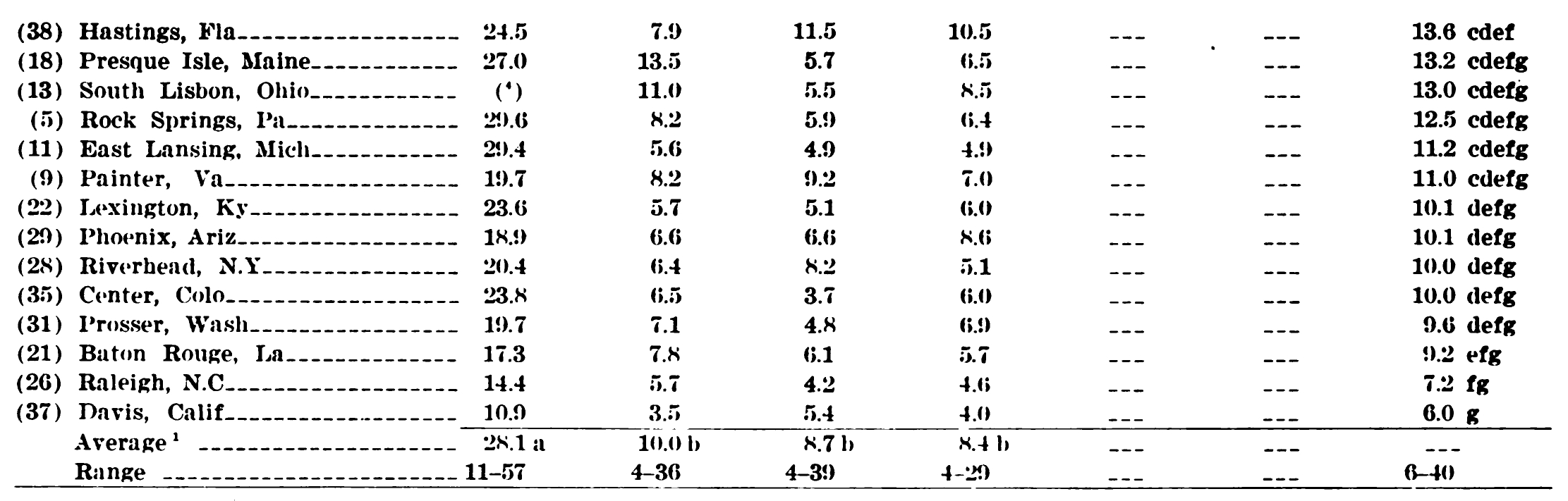 krumpli04.jpg