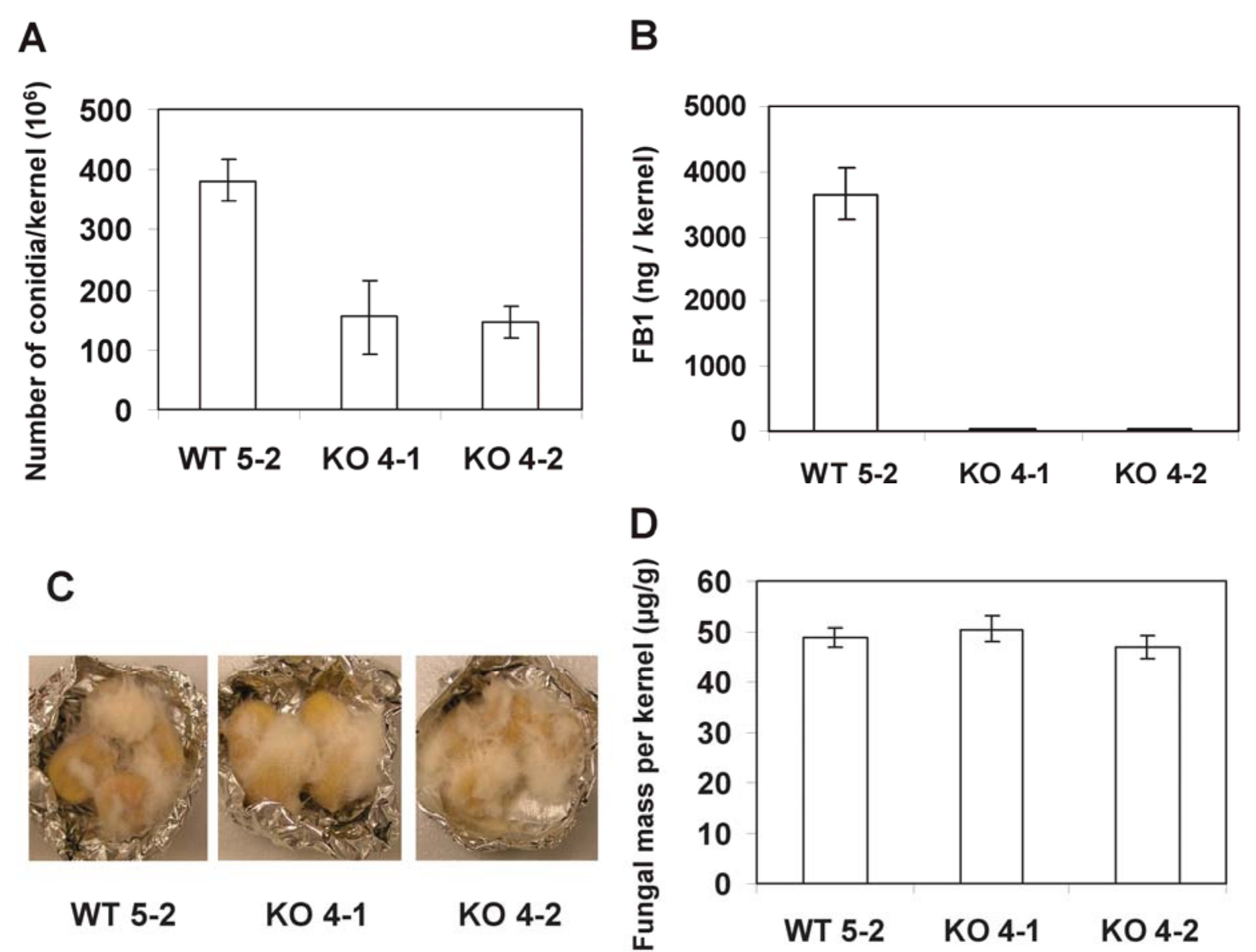 mycotoxin02.jpg