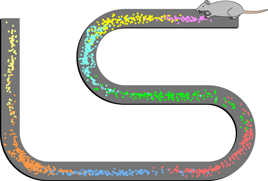 Place_Cell_Spiking_Activity_Example.png