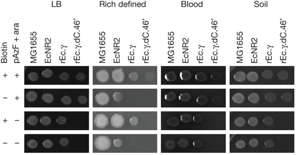 isaacs-fig4.jpg