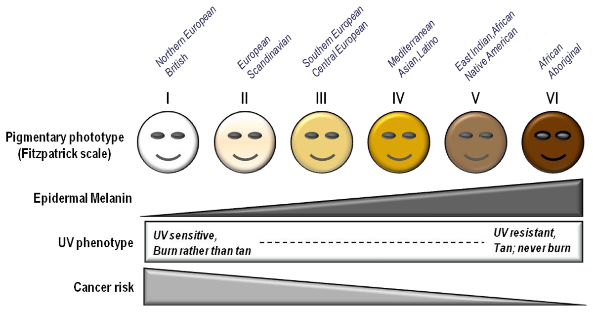 uv-cancer_risk.png