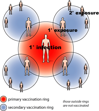 smallpox-ring-vaccination.gif