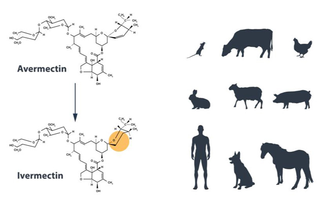 nobel-prize-medicine-campbell_630m.jpg