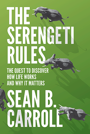 the_serengeti_rules.gif