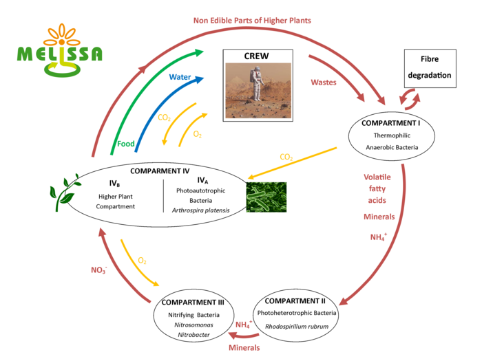 melissa_loop_diagram_node_full_image_2.png