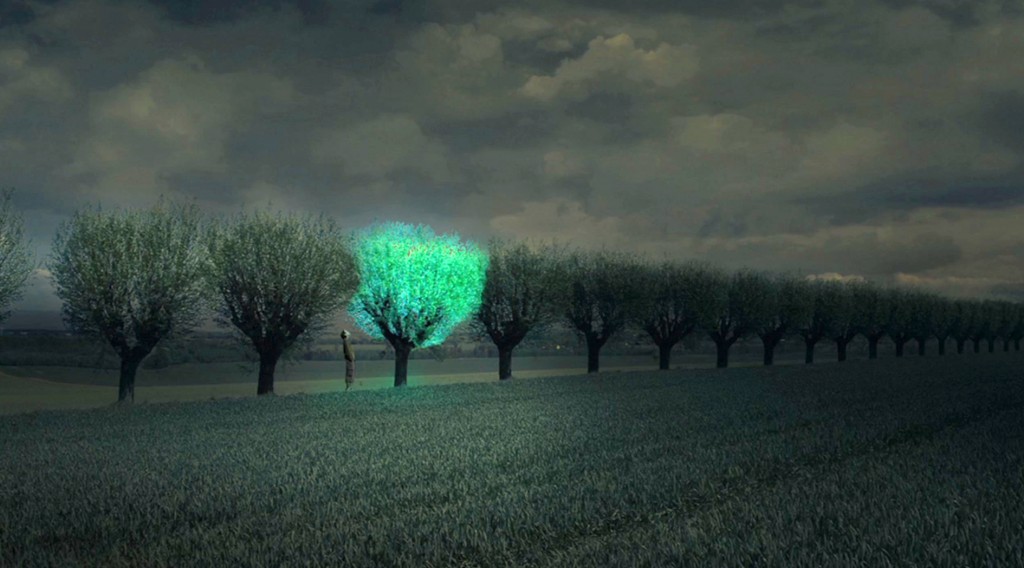 bioluminescent-tree2-1024x568.jpg