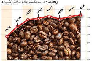 TÍZ ÉV ALATT 10 SZÁZALÉKKAL NŐTT AZ EURÓPAI KÁVÉBEHOZATAL