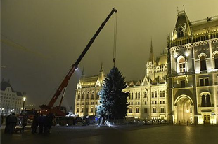 BUDAPEST: FELÁLLÍTOTTÁK AZ ORSZÁG KARÁCSONYFÁJÁT A PARLAMENT ELŐTT