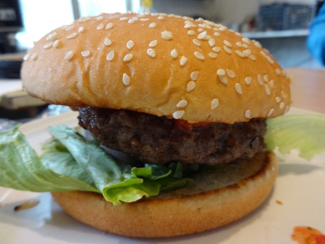 Hamburger mustra #3