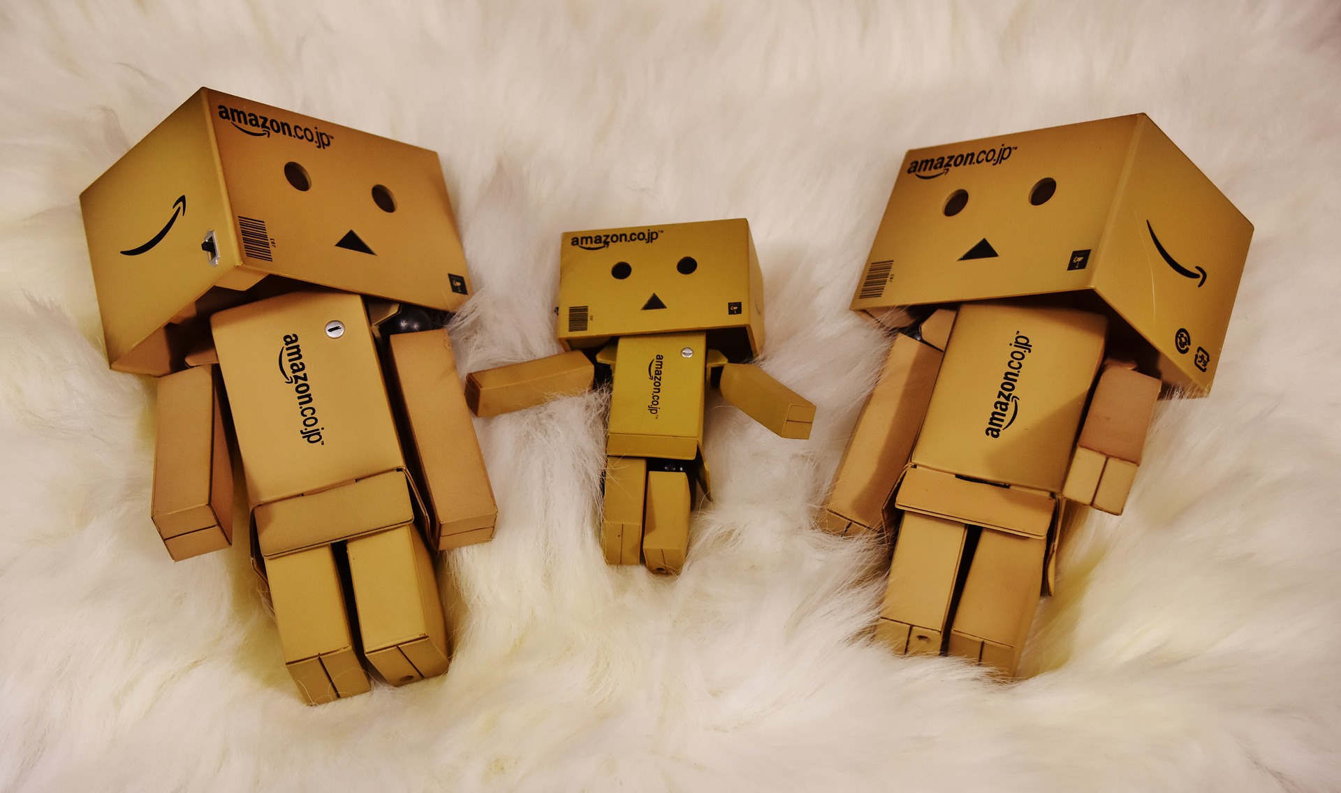 danbo-2006937_1920.jpg