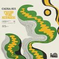 Causa Sui - From the Source
