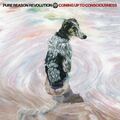 Pure Reason Revolution - Coming Up to Consciousness