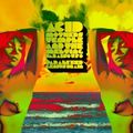 Acid Mothers Temple & The Melting Paraiso U.F.O. - Paralyzed Genius Brain (2 CD)
