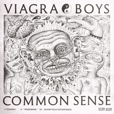 viagra-boys-common-sense-1583444697-640x640.jpg