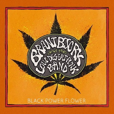 1415955668_black-power-flower.jpg