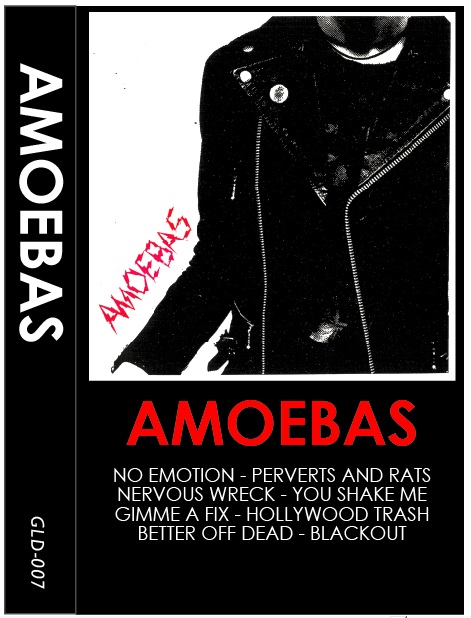 amoebas.jpg