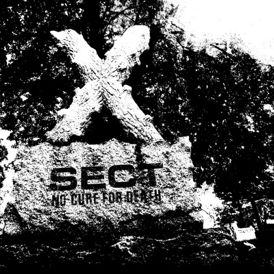 sect-cover-web-1024x1024.jpg