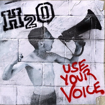 use_your_voice_cover.jpg