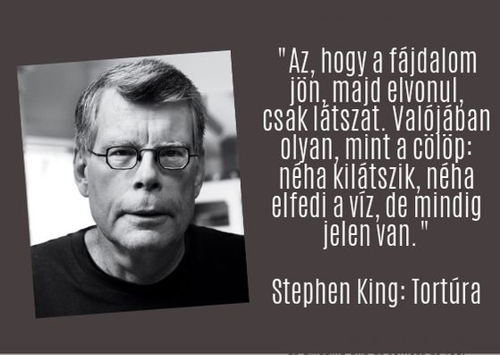 _az_hogy_a_fajdalom_jon_majd_elvonul_csak_latszat_valojaban_olyan_mint_a_colop_neha_kilatszik_neha_elfedi_a_viz_de_mindig_jelen_van_stephen_king_tortura.jpg