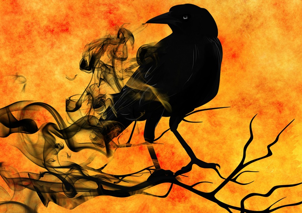 crow-mystical-darkness-creepy-raven-night-gloomy-1373630.jpg