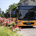 Végül megemelte a helyi buszközlekedés árát Szolnok, de ezért súlyos árat fizet