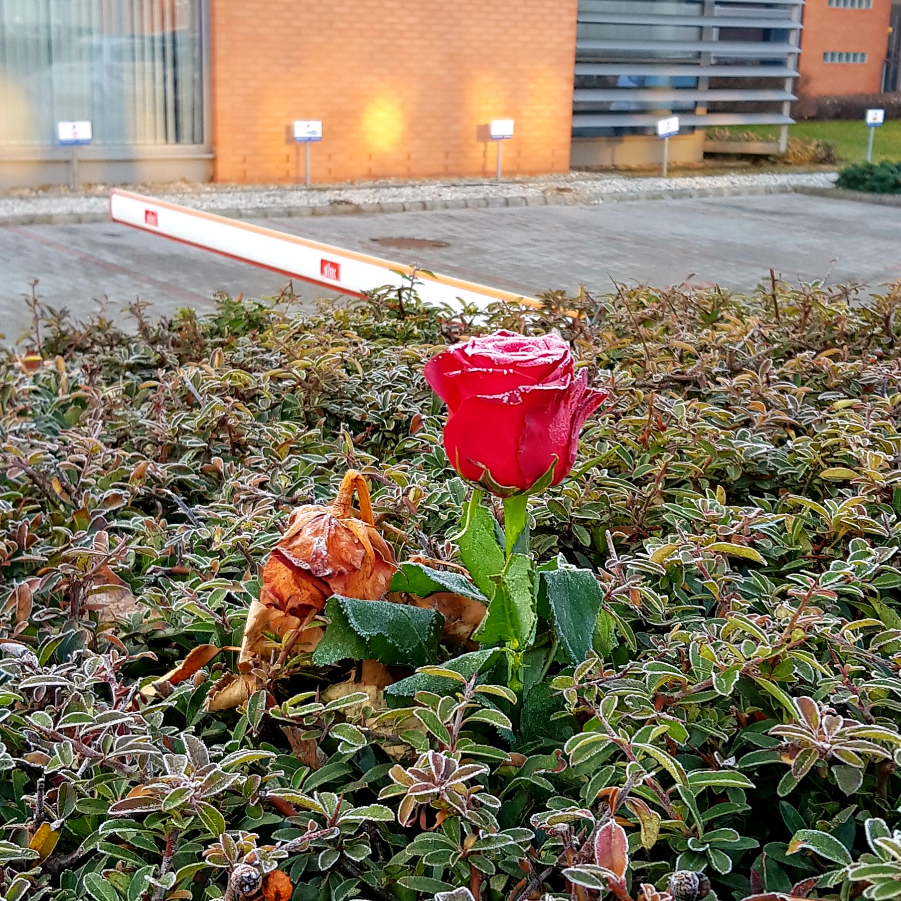 20190219_074457.jpg