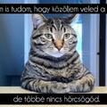 Nem is tudom, hogy közöljem :/