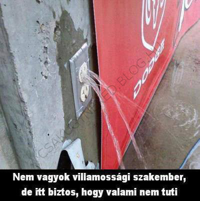 COLA.jpg