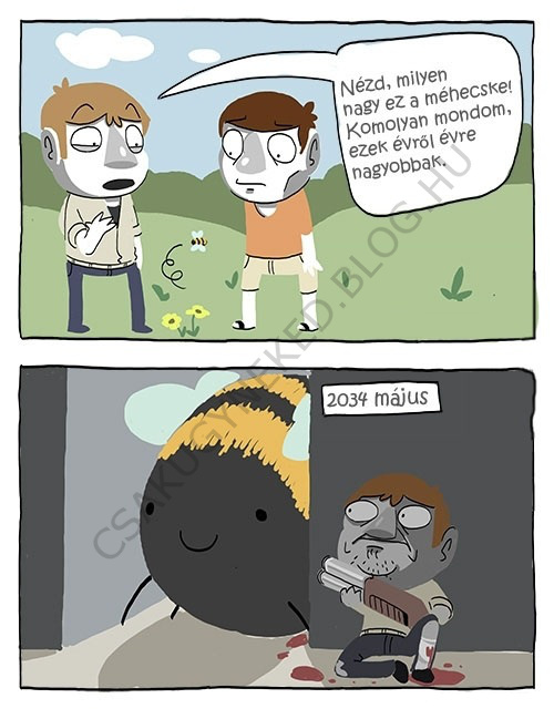 erett4_1.jpg