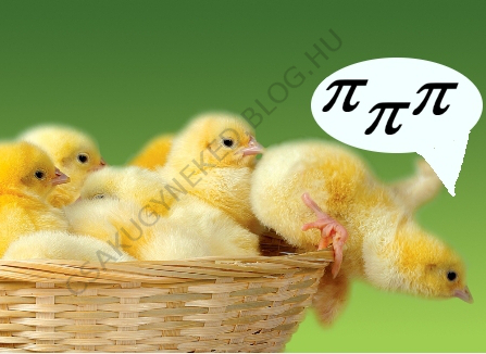 pipipipipi.jpg