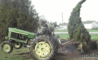 tumblr_mnx9y2DjUr1r3gb3zo1_400.gif