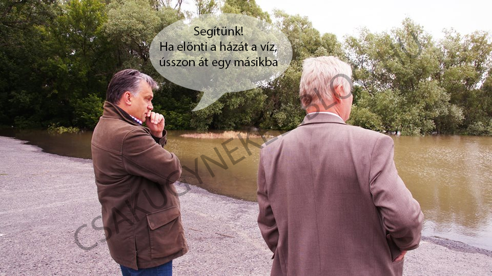 2.JPG