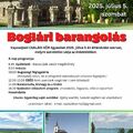 Barangolj velünk Bogláron és környékén!