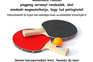 Házi pingpong verseny