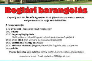 Barangolj velünk Bogláron és környékén!