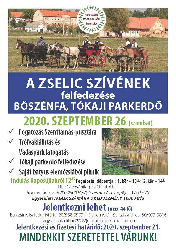 zselic_szivenek_felfedezese.jpg