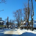 Télből az igazi télbe, avagy Zakopane kutyákkal