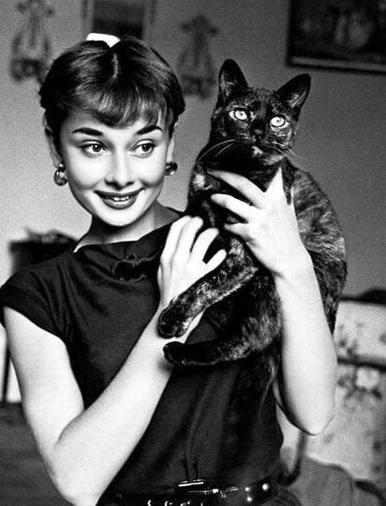 audrey-hepburn.jpg