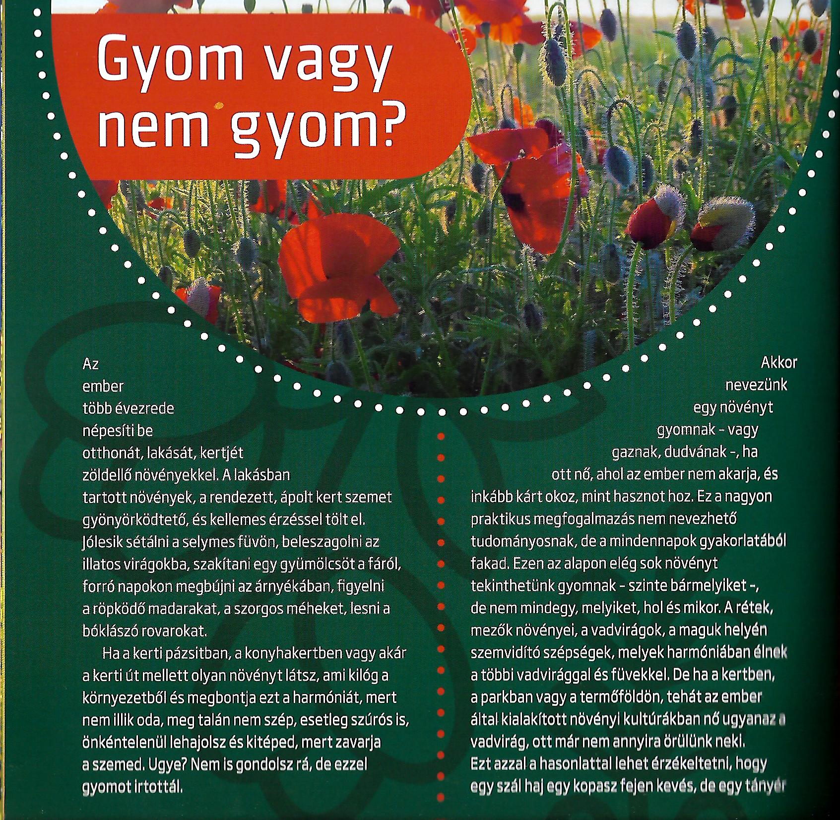 gyom_vagy_nem_gyom_1.jpg