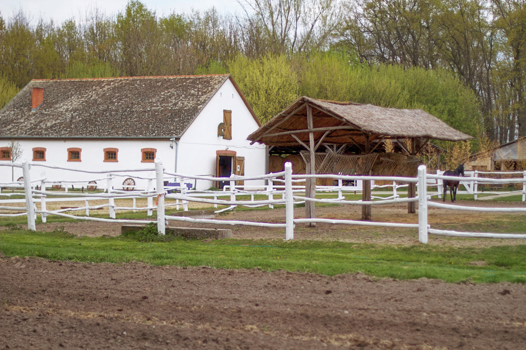 A hotel zöldségeskertje