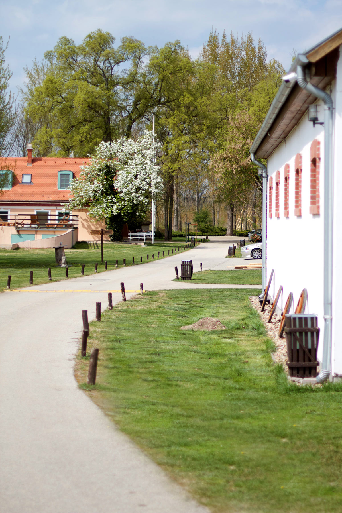 A hotelhez vezető út